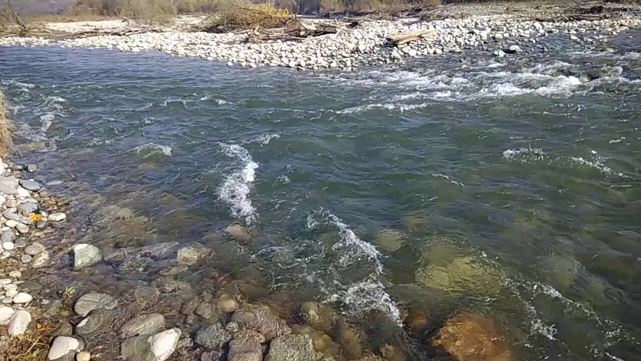 Ютуб лаба. Река Лаба Курганинск. Экодесант Лабинск река Лаба. Река Лаба в феврале. Река Лаба 20 лет назад.