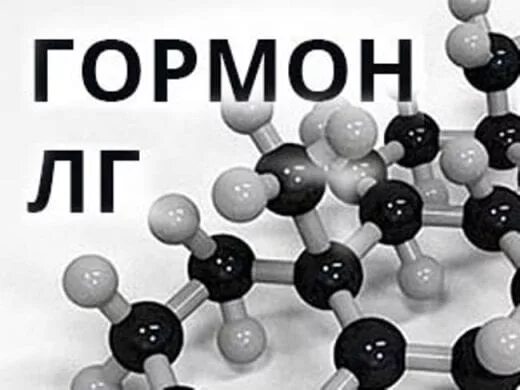 Лютеинизирующий гормон. ЛГ гормон функции. Лютеинизирующий гормон у женщин. Лютеинизирующий гормон (ЛГ). Лютеинизирующий гормон повышен у мужчин