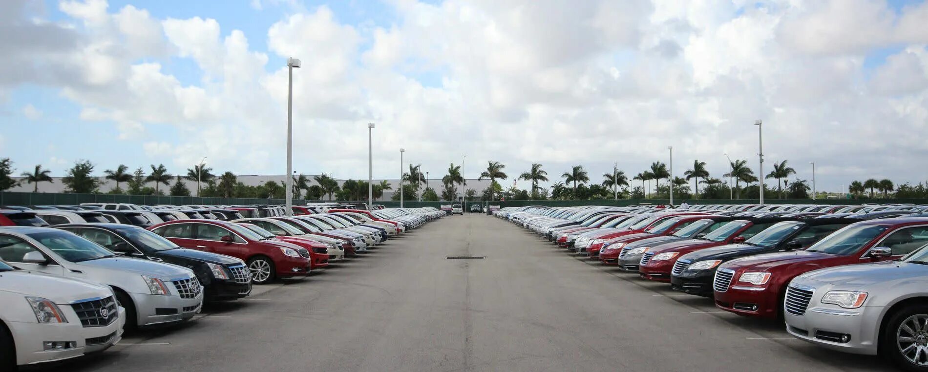 Nz new or used cars & vehicles for sale. Tweedehands auto. Выбор автомобиля. Автопарк китая. Used cars.