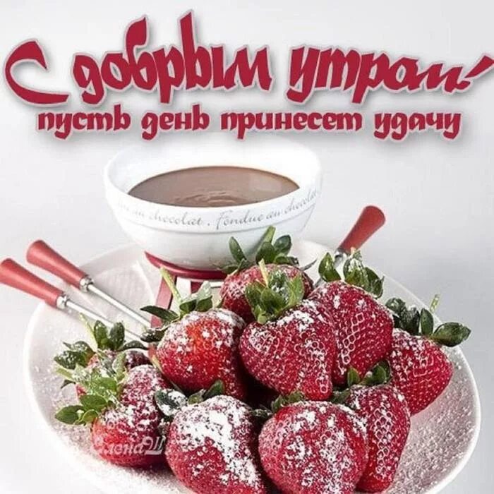 Смс удачного дня
