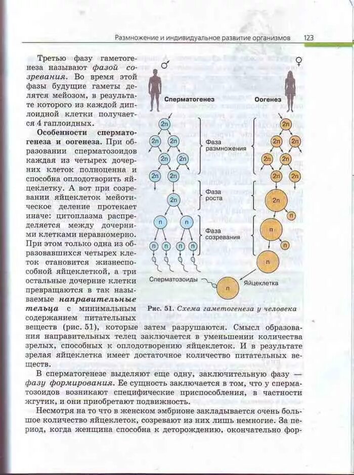 Биология 10-11 класс Пасечник. Темы биология 10-11 класс учебник Пасечник. Книга по биологии 10 класс Каменский Пасечник. Пасечник Криксунов биология 10 11.