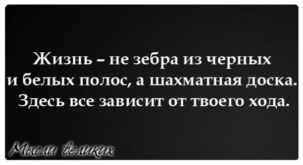 Жизнь похожа. Жизнь как шахматная доска цитаты. Жизнь игра цитаты. Шахматная доска цитаты. Высказывания шахматистов.