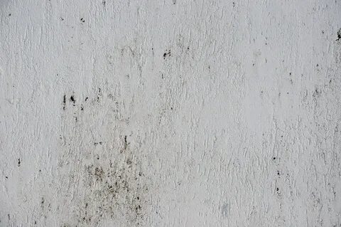 Weathered white