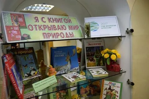 Выставки по экологии в библиотеке