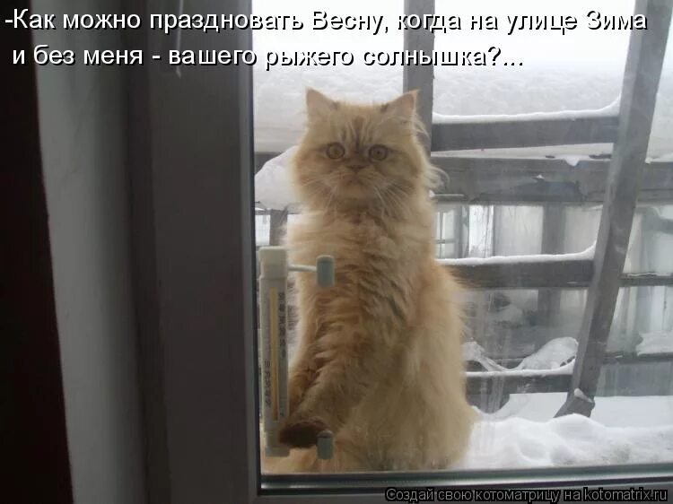 а жизнь идет а жизнь идет. фотосессия в городе девушка. стать хочу на улице. гулять гулять гулять. девушка идет.