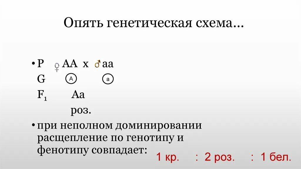Неполное доминирование расщепление по генотипу. Генетическая схема. генетика схема. na генетическая схема. задачи по генетике неполное доминирование.