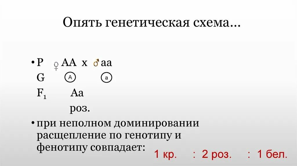 Генетическая схема. Генетика схема. Na генетическая схема. Задачи по генетике неполное доминирование.