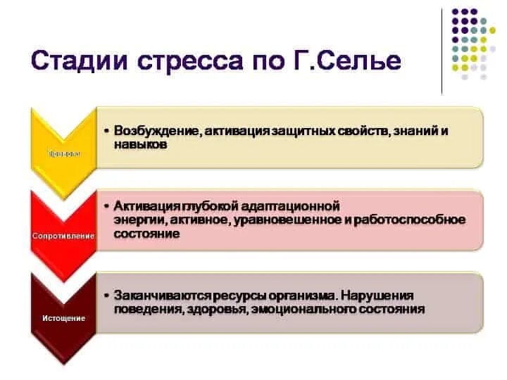 Выберите стадии стресса. Стадии развития стресса Селье. 3 Фазы Селье. Стадии развития стресса Ганса Селье. Три стадии стресса Селье.