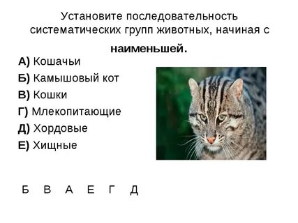Таксоны животных позвоночные