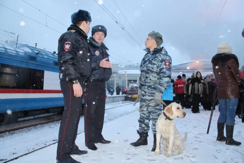 А также специальных транспортных