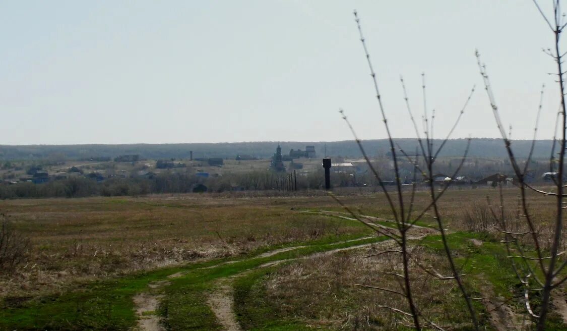 Баевка Ульяновская область Николаевский район. Церковь село Баевка. Село Баевка Ульяновской области Николаевский район. Баевка Ульяновская область храм.