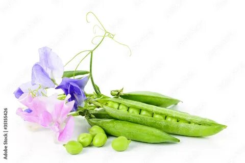 E peas