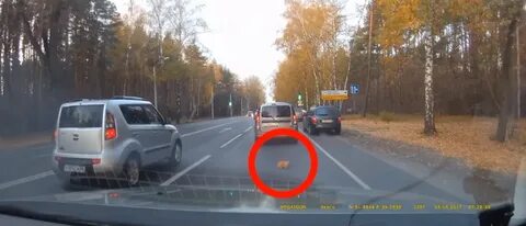 Отблагодарила на дороге
