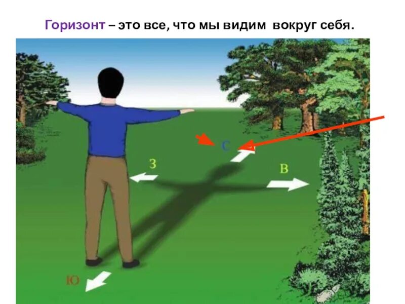 Да будет свет. Восток запад стороны света. Стороны света по солнцу. Земную жизнь пройдя до половины я очутился в сумрачном. Первый день творения свет.