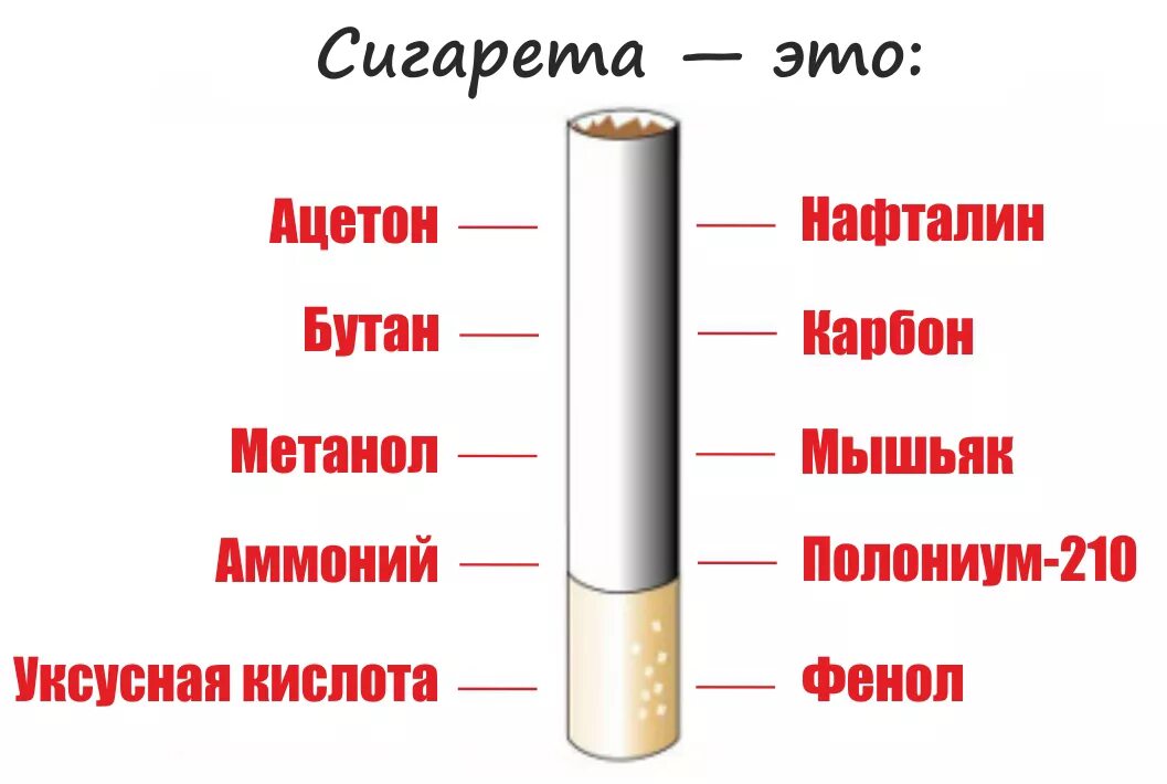 Состав сигареты. Строение сигареты. Схема сигареты. Из чего состоит сигарета.