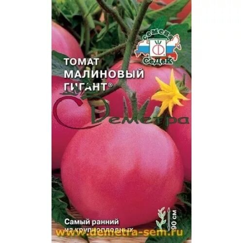Малиновый силач томат описание. Томат ловелас. Томат большая малина. Томат минусинская грушанка. Малиновый силач описание.