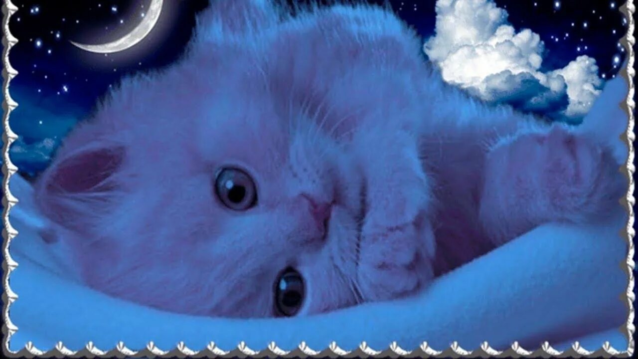 Сладких снов красивые. Открытки спокойной ночи. Добрых нежных снов. Спокойной ночи котики.