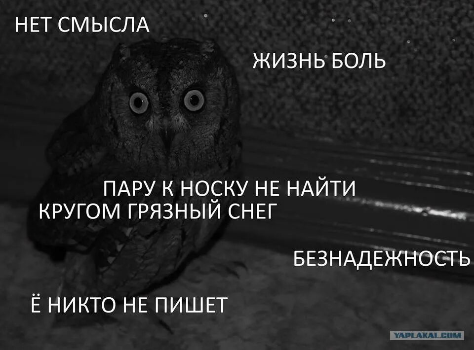 В смысле где живут. Нет смысла жизни. Теперь нет смысла жить. Смысл жизни потерян. Жизнь потеряла смысл жизни.