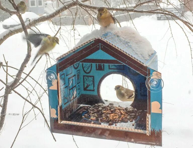 Кормушки из картонных коробок своими руками. Кормушка для птиц из кортон. Кормушка для птиц из коробки. Кормушка для птиц в детский сад. Кормушка для птиц из коробки.