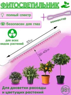 Какой мощности лампы для рассады