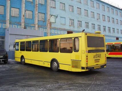Автобус 514 ольховая плесково