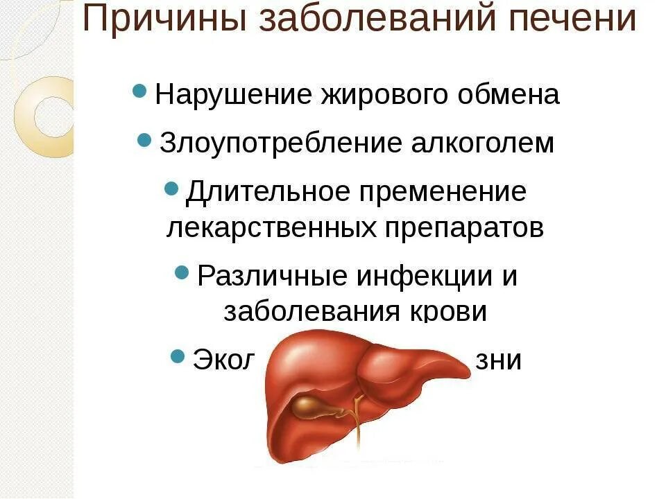 Колит печень. Основные причины заболевания печени. Основные симптомы поражения печени. Причины поражения печени у людей. Причины первичных заболеваний печени.