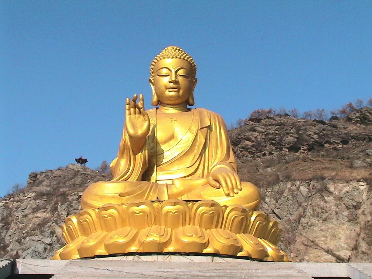 Фото будды. Будда учитель. Будда в дорджимбя. Главный Будда. Ок Будда.