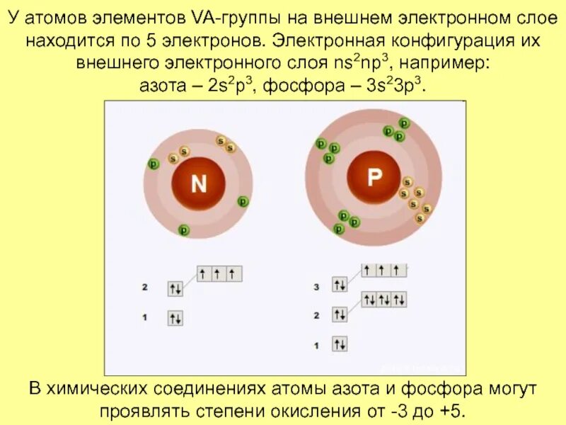 Строение атома элемента фосфор. Электронная конфигурация внешнего слоя фосфора. Конфигурация внешнего Эл слоя элемента 3s23p3. Электронная конфигурация атома фосфора. Строение электронной оболочки фосфора.