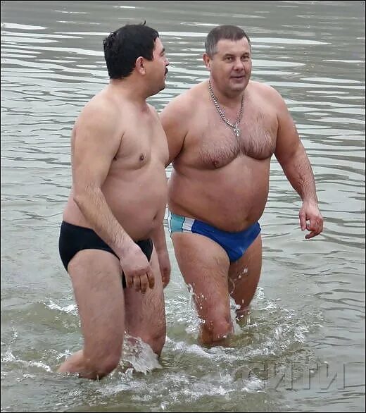 Daddies fat gays. Fat Silver Bear in speedo. Fat best in speedo. Chubby speedo.