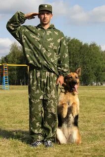 На посту пограничник стоит