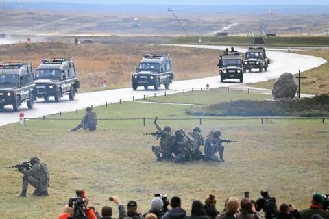 Steadfast учения