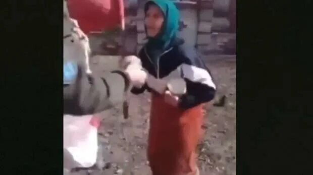 Издеваются над инвалидом. Видео с издевательством над курским пенсионером. Бабушка с красным знаменем видеоролики. Видео с издевательством над курским пенсионером. Видео с издевательством над курским пенсионером.
