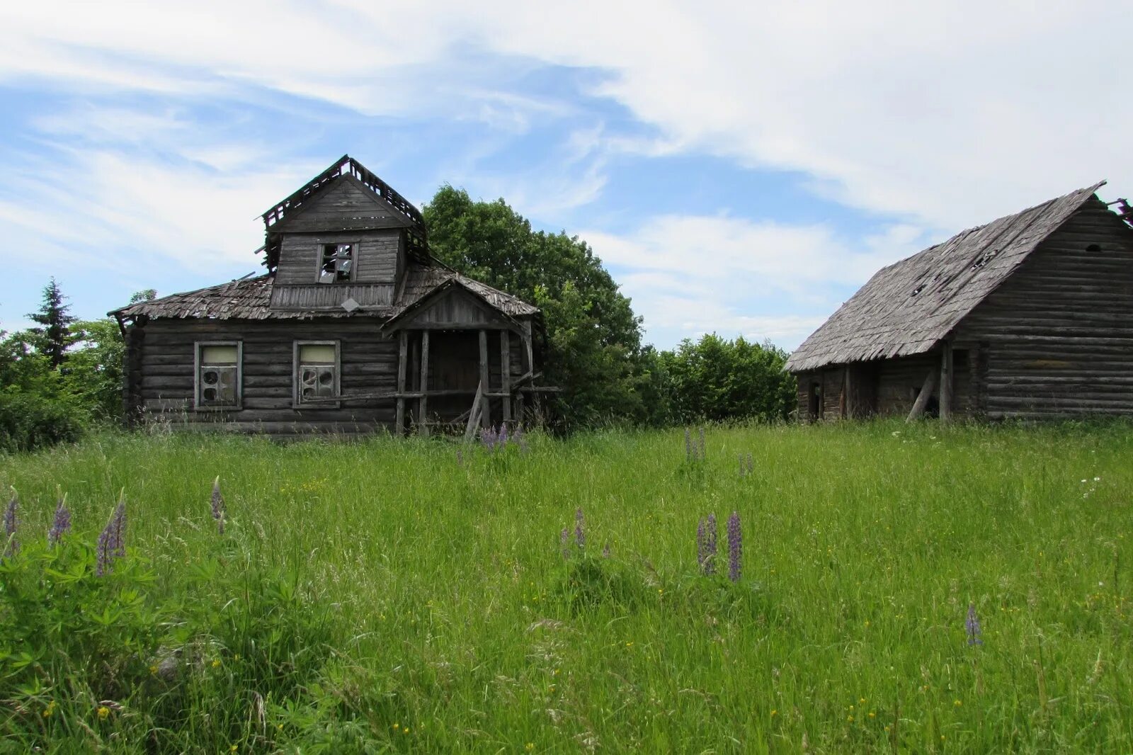 Соколово коми. Соколово коми. Троицко-печорск. Деревня кони республика коми. Соколово коми.