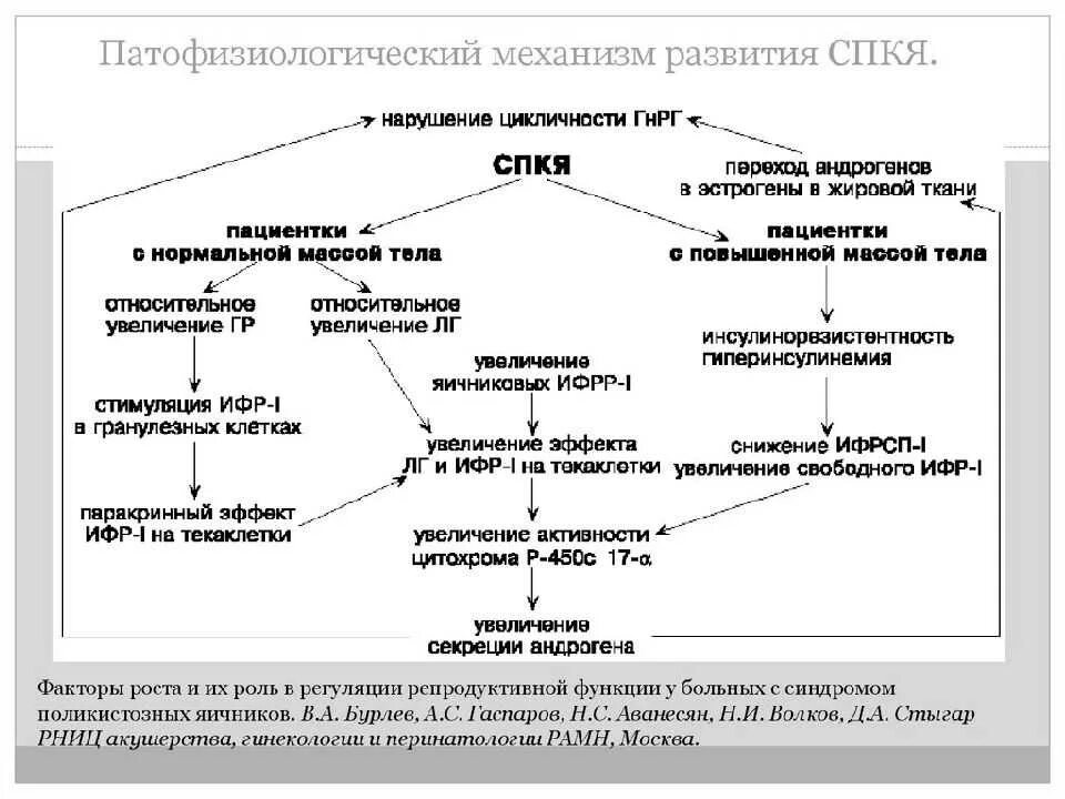 Поликистозные яичники лечение. Синдром поликистозных яичников патогенез схема. Патогенез СПКЯ клинические рекомендации. Патогенез синдрома поликистоза яичников схема. СПКЯ патогенез гинекология.