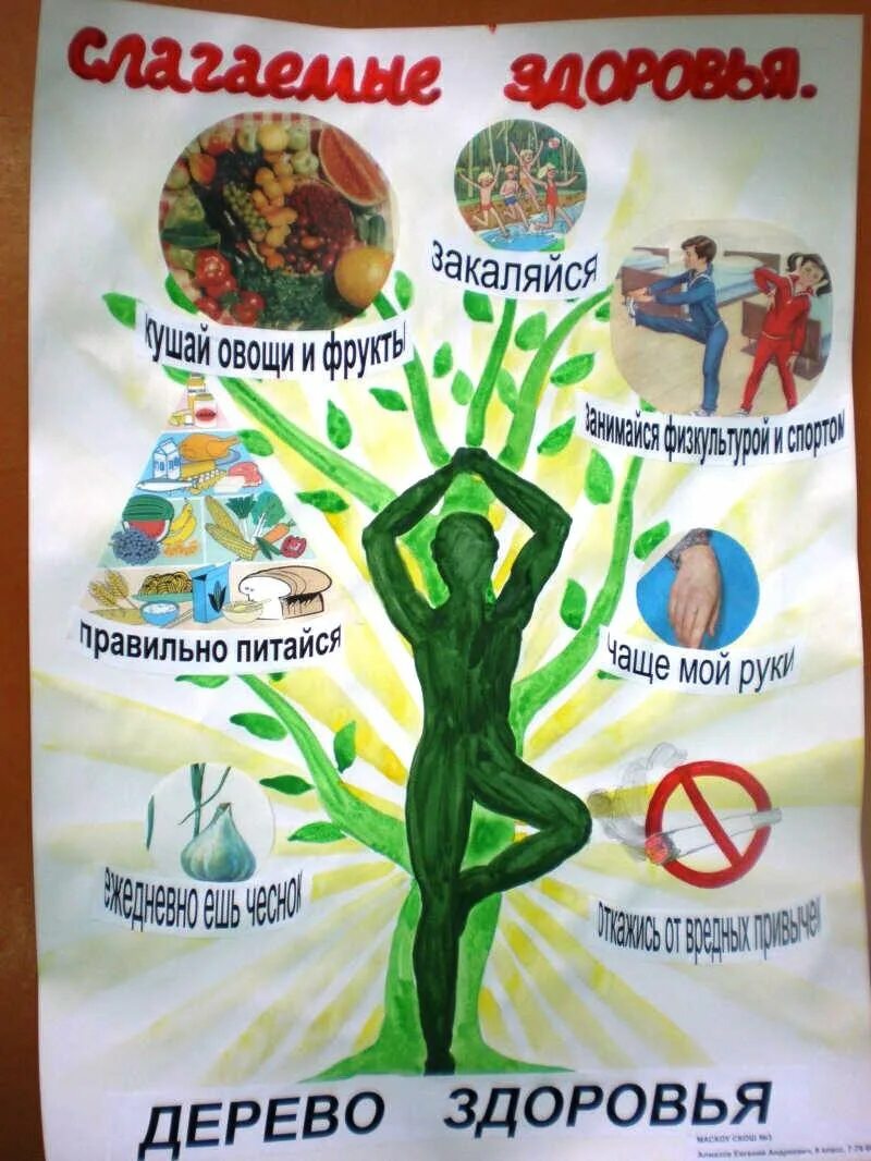 Листовка биология. Плакат дерево здоровья. Плакат на тему здоровье. Поакат о здоров образе жизни. Плакат ЗОЖ.