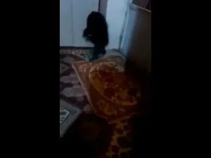 Как выглядит домовой в реальной