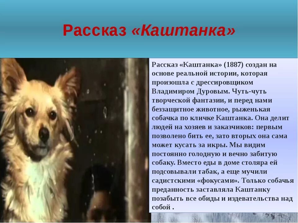 Собака из рассказа почему. Рассказ о собаке. Каштанка. Рассказы. Каштанка краткое содержание. Произведения про собак.