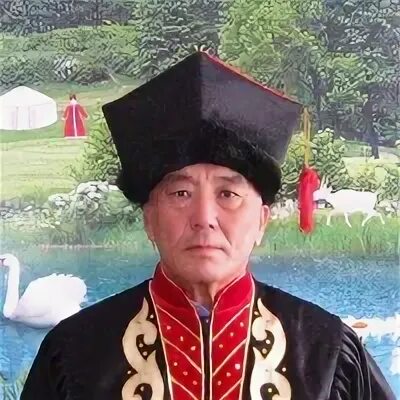 Бага чонос калмыкия. Бага чонос калмыкия целинный район. история рода бага-чонос. авито бага-чонос.