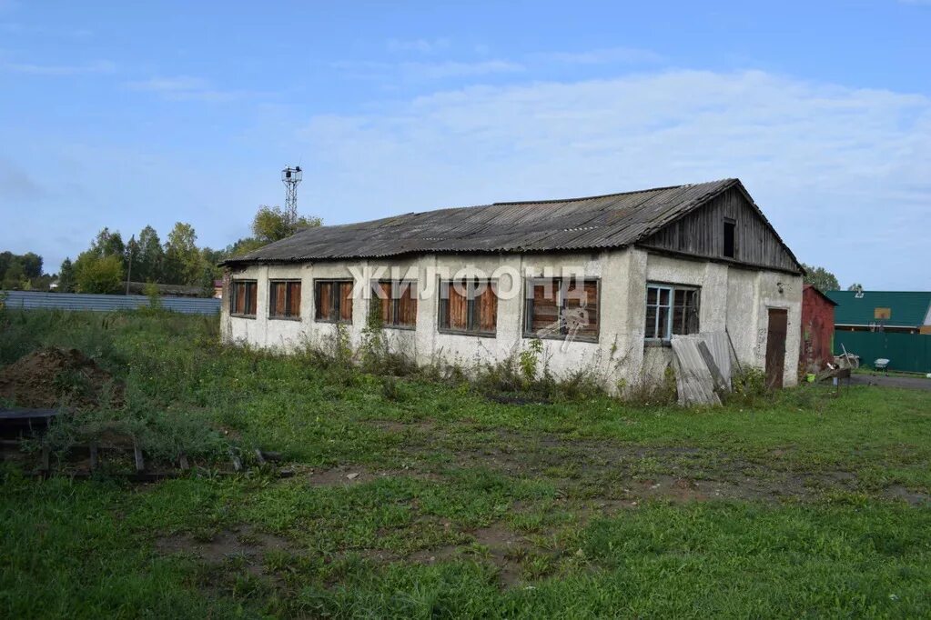 Октябрьский поселок мошковского района. Мотково Мошковский район. Посёлок Октябрьский Новосибирская область Мошковский. Село Мотково Мошковский район Новосибирская область. Вокзал Мошково Новосибирская область.