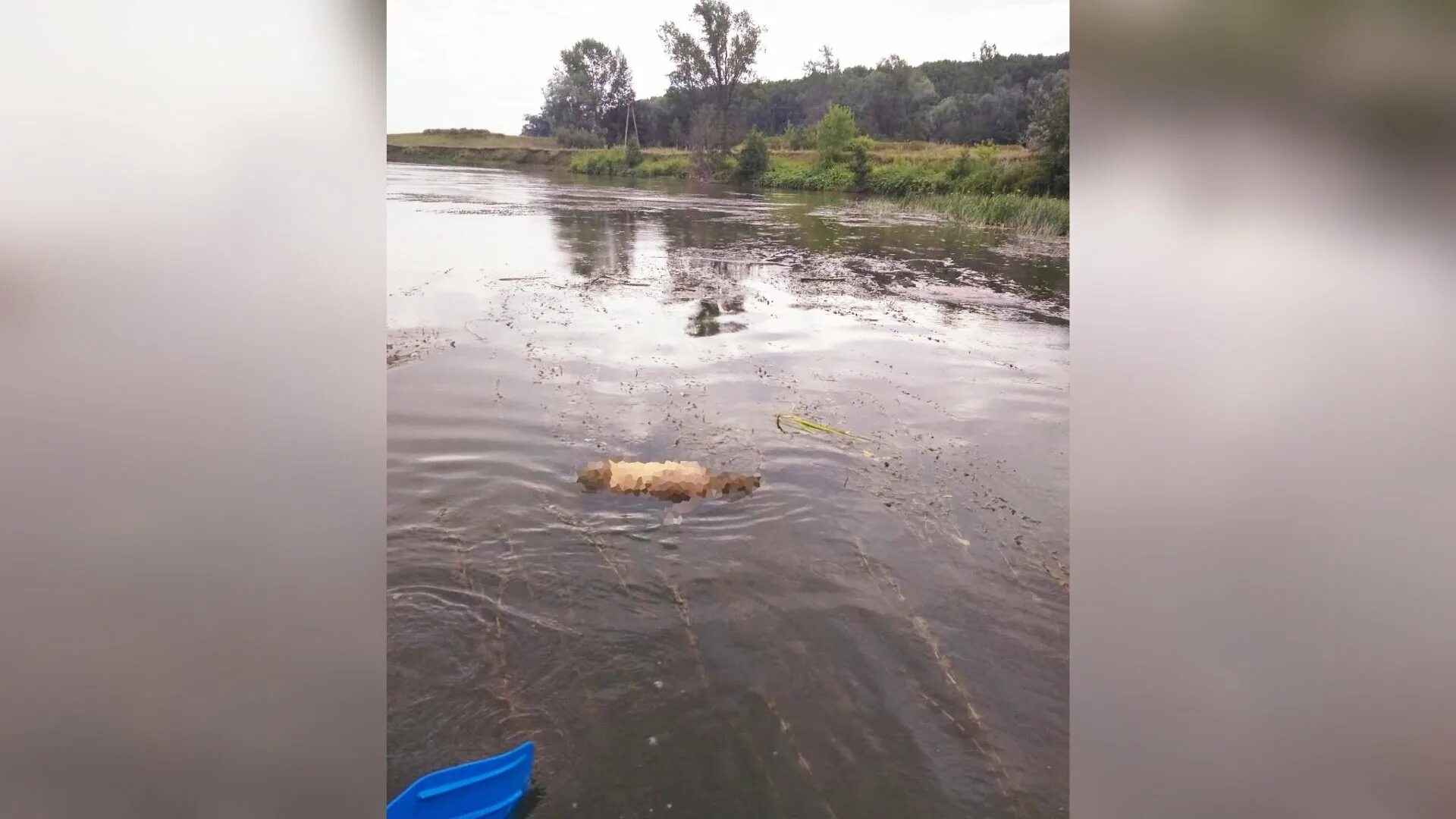 Что можно найти в реке. В реке нашли тело ребенка.
