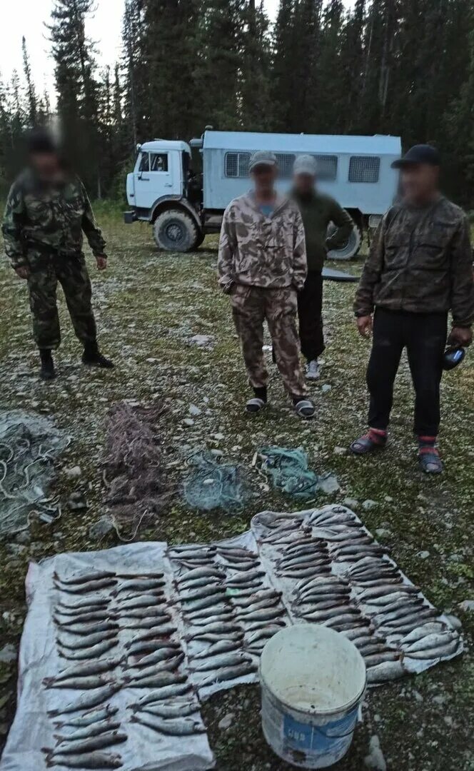 Браконьеры нарвались на бывшего зека. Браконьеры нарвались на бывшего зека. Дмитрий бойко арестант. Экология кыргызстана. Браконьеры нарвались на бывшего зека.