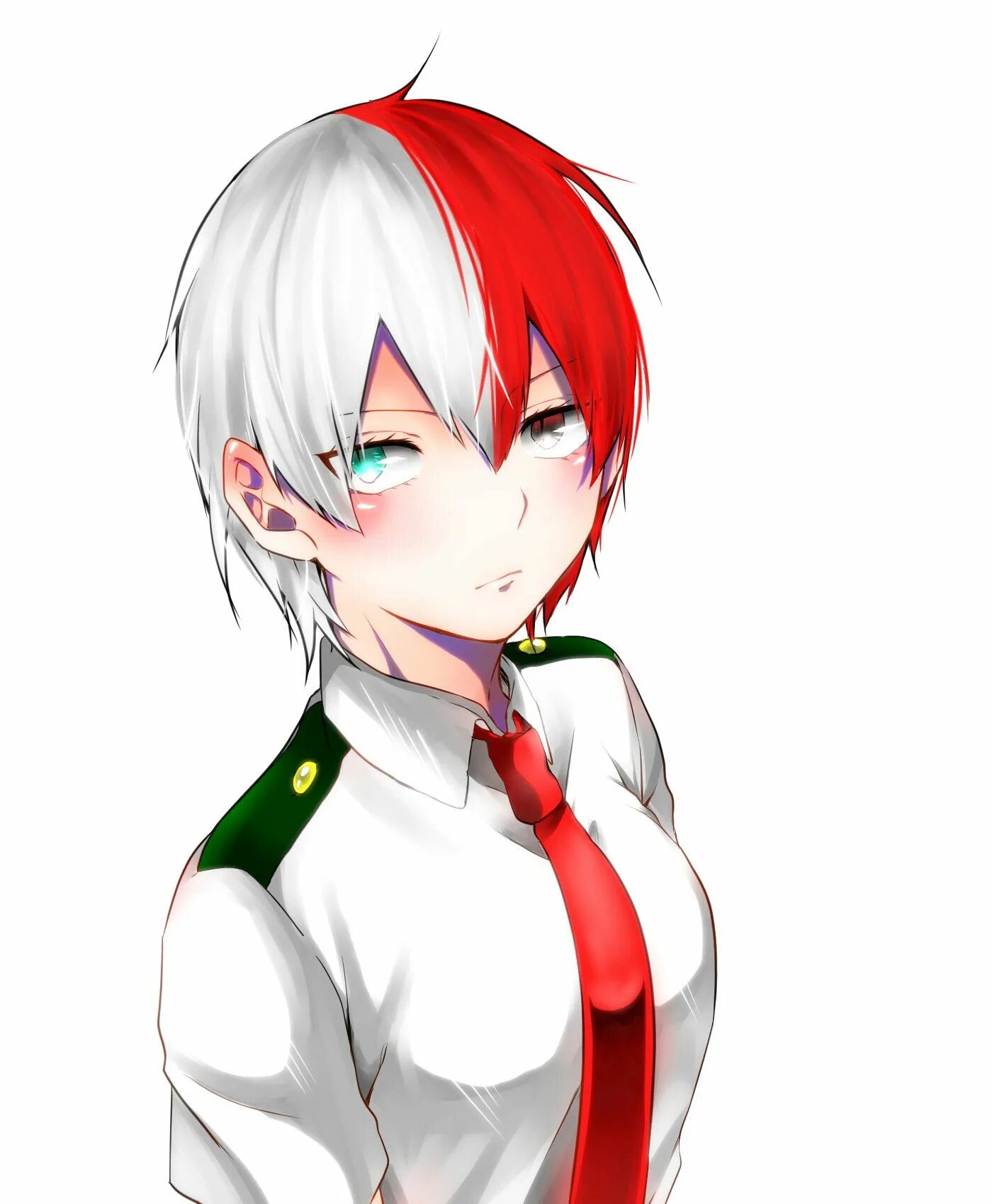 Todoroki reader. Сестра шото тодороки. тодороки тян. тодороки шото r63. todoroki shouto fem.