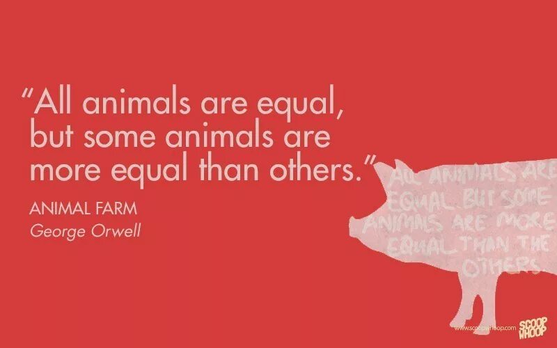 All animals are equal but some animals are more equal than others. Some animals are more equal than others. "All animals are equal, but some animals are more equal than others..." Georges Orwell. All Beast equal but some animals are more equal than others. Some animals go to a shelter