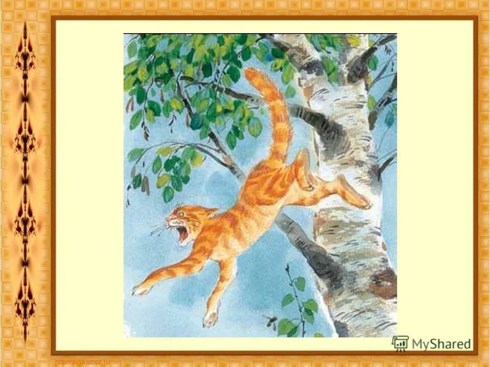 Герои рассказа кот ворюга. Кот ворюга герои. Кот-ворюга паустовский иллюстрации к рассказу. К. Главный герой рассказа кот ворюга.