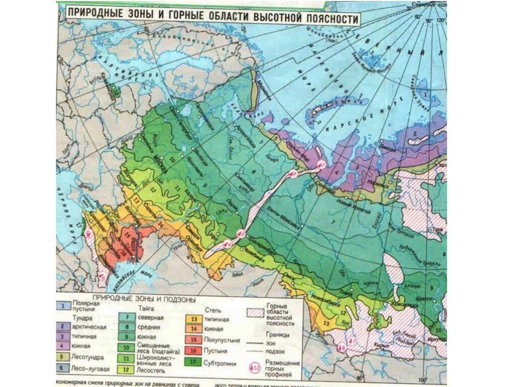 Карта природных зон европейской части России. Карта природных зон европейского севера России. Северо Западная и Северная Россия природные зоны.