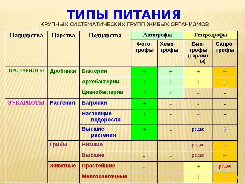 Категория группы организмов. Типы питания. Тип питания виды. Типы питания живых организмов. Типы питания таблица.