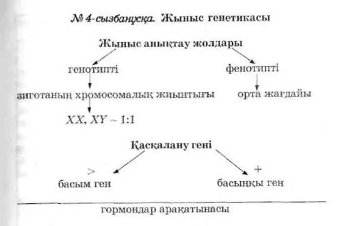Хардкор тит бондажының фотогалереясы