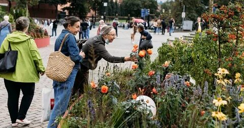 События лета 2017 года