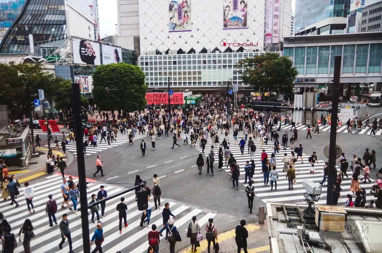 Tokyo living. Япония перекресток Сибуя. Токио перекресток Сибуя. Шибуя Япония перекрёсток. Район Сибуя в Японии.