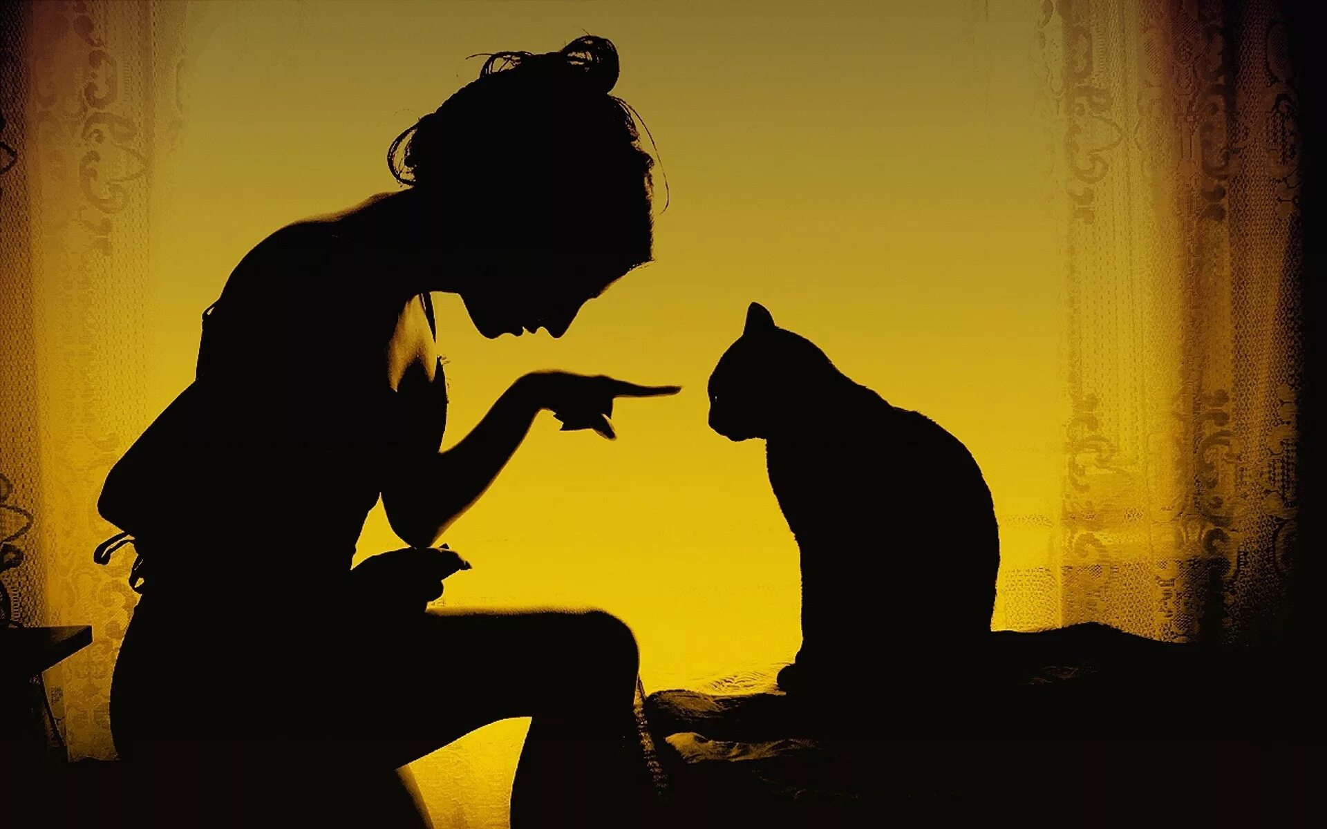 Картинка девушка с кошкой. Девушка с котом. Женщина с черной кошкой. Девушка с черным котом. Силуэт девушки с кошкой.